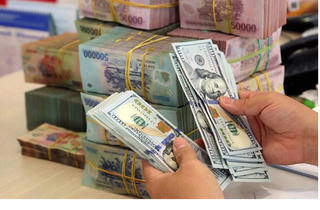 Giá USD ngân hàng lao dốc sau khi lên mốc 24.000 đồng