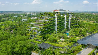 Flamingo Holdings: Không chỉ là sắc xanh tự nhiên