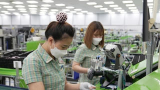 Vốn FDI đạt kỷ lục 25,35 tỷ USD trong năm 2024