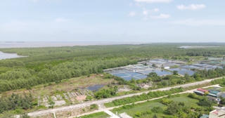 Có hay không Thái Bình sẽ xóa bỏ Khu bảo tồn thiên nhiên nước Tiền Hải?