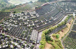 Mộ phần đắt gấp 6 lần chung cư, giới trẻ Trung Quốc đổ đi mua đất nghĩa trang