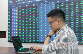 Hiện tượng 'mèo vẫn hoàn mèo' trong ngành chứng khoán