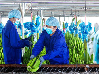 'Cuộc tình' HAG - HNG: Hậu chia tay, ai buồn, ai vui?