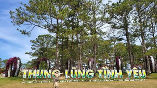 Lâm Đồng: Công ty Cổ phần Điện Đạ Sar nợ thuế hơn 344 tỷ đồng