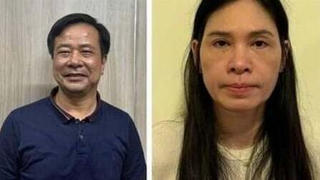 Bắt Chủ tịch và Tổng giám đốc Công ty Sona