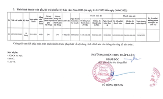 Sau vụ chậm thanh toán, Lâu Đài Trắng 'vật vã' phát hành 2,5 tỷ đồng trái phiếu mới