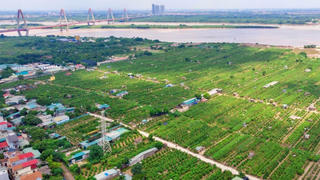 Tiền chuyển đất nông nghiệp sang đất ở: Có thể giảm còn 30 - 50%