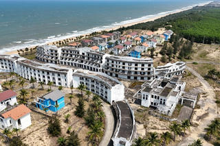 Khu du lịch 368 triệu đô bên vịnh biển đẹp nhất thế giới tại Việt Nam trở thành nơi chăn thả gia súc