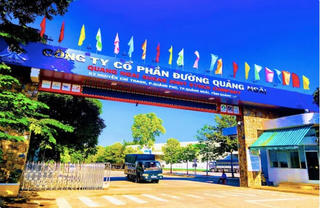 Đường Quảng Ngãi: Dòng tiền kinh doanh âm, nợ tăng mạnh lên hơn 4.700 tỷ