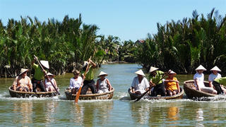 Quảng Nam muốn chuyển đổi 1ha rừng dừa lấy đô thị: Băn khoăn