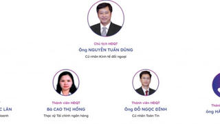 Ông Nguyễn Tuấn Dũng làm Chủ tịch Chứng khoán VIX