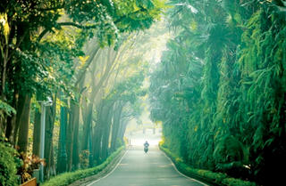 Ecopark và câu chuyện đánh thức Văn Giang
