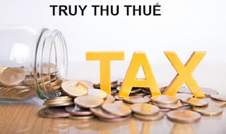 Pacific Partners bị truy thu tiền thuế gấp 34 lần lợi nhuận năm 2023