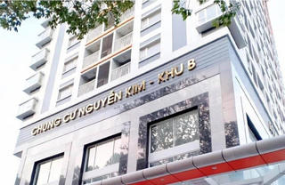 Tổng công ty Địa ốc Sài Gòn: Mang đất nhà nước đi góp vốn khi chưa xin phép