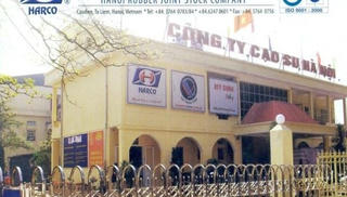 Dính hàng loạt vi phạm thuế, Cao su Hà Nôi bị phạt, truy thu hơn 6,7 tỷ đồng