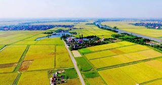 Luật Đất đai sắp có hiệu lực, số phận của đất nông nghiệp hết thời hạn sử dụng sẽ ra sao?
