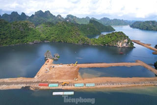 Chủ tịch TP. Cẩm Phả yêu cầu dừng thi công khu đô thị quây núi đá Vịnh Hạ Long làm ‘hòn non bộ'