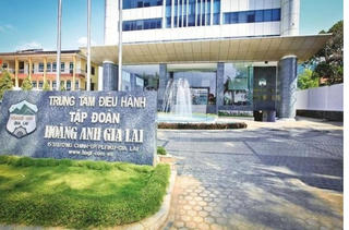 HAGL lãi 123 tỷ đồng trong tháng 8, luỹ kế từ đầu năm lãi 781 tỷ đồng