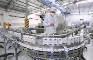 Cổ phiếu khuyến nghị hôm nay 8/6: VNM, TPB và VHM