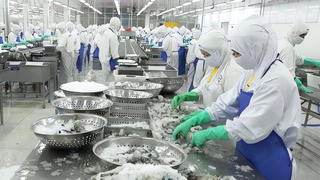 Một DN thuỷ sản kiệt quệ: Cổ phiếu 500 đồng, lỗ lũy kế 1.700 tỷ