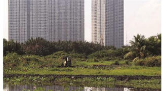 Thu hồi loạt dự án ở TP.HCM chậm triển khai