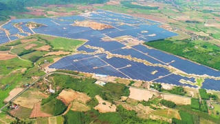 Công ty Trường Thành bị phạt 240 triệu đồng vì vi phạm công bố thông tin