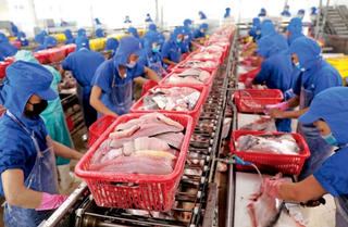 Cổ phiếu thủy sản: Chu kỳ ngắn, rủi ro cao