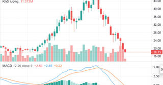 Từ hiện tượng cổ phiếu DXG lao dốc nhìn lại hoạt động kinh doanh của Đất Xanh