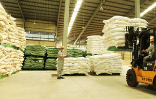 Nông nghiệp BaF dự kiến góp thêm 500 tỷ đồng vào 8 công ty con