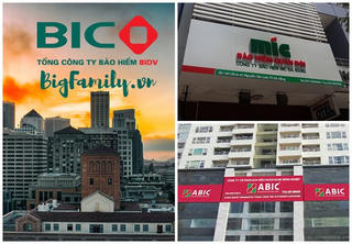 Dòng tiền thuần từ hoạt động kinh doanh tại Bảo hiểm BIC biến động đến khó tin