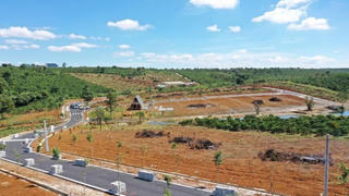 Giá đất Lâm Đồng giảm trung bình 100 triệu đồng/nền đất so với quý trước