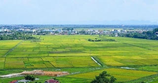 Hà Nội cấp đổi giấy chứng nhận quyền sử dụng đất trong 7 ngày