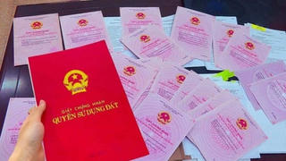 Hà Nội: Từ 3/9, hồ sơ đất đai được tiếp nhận trực tuyến