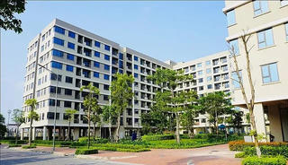 Thủ tướng yêu cầu báo cáo về đề xuất cho người dưới 35 tuổi vay ưu đãi