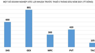 Chưa hết quý 2/2021, loạt doanh nghiệp hồ hởi báo lãi lớn