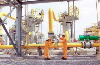 Vừa 'lên đỉnh' lợi nhuận, năm 2023 PGD lại tính đi giật lùi