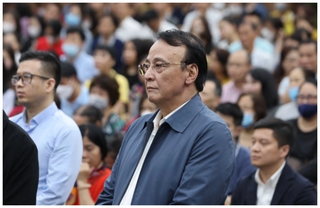 Chủ tịch Tân Hoàng Minh Đỗ Anh Dũng lĩnh án 8 năm tù