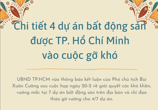 [Infographics] UBND TP Hồ Chí Minh yêu cầu gỡ khó cho dự án và những doanh nghiệp bất động sản nào?
