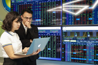 Chứng khoán giảm sâu, nguy hiểm nếu không giữ được mốc 1.230 điểm