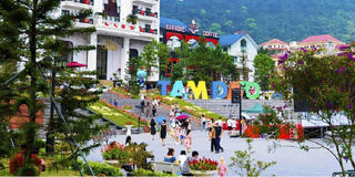 20 tỷ mua được 100m2: Đất Tam Đảo giá lên tận mây