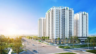 Lũy kế 6 tháng Đầu tư I.P.A giảm hơn 22% dù lợi nhuận quý 2 tăng mạnh