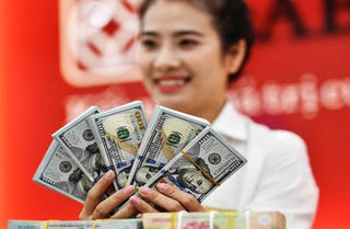 Tỷ giá tăng nóng và những giải pháp kìm hãm