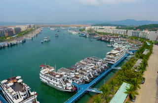 Đại án Trương Mỹ Lan: Âu Lạc Quảng Ninh, T&H Hạ Long nhận phán quyết thu hồi 6.095 tỷ