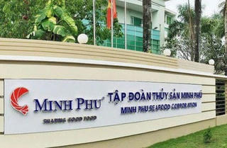 'Vua tôm' Minh Phú sắp phát hành gần 200 triệu cổ phiếu thưởng