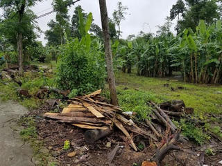 Hy hữu: Lô đất nông thôn được định giá 45 triệu đồng/m2 là sai sót do soạn thảo văn bản?