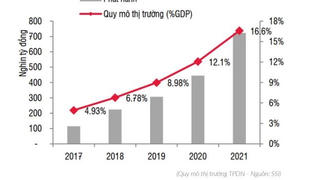 Hội Môi giới Bất động sản Việt Nam nêu loạt vấn đề đáng lo ngại về thị trường TPDN