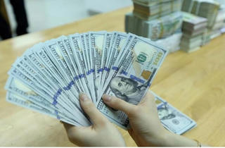 Giá đô 'chợ đen' mất mốc 25.000 đồng, USD thế giới thấp nhất 3 tháng