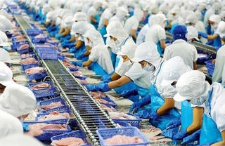 'Nữ hoàng' cá tra rót hơn 150 tỷ đồng đầu tư cổ phiếu bất động sản
