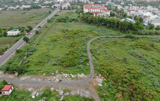 26 ha đất làm Metro Bến Thành - Tân Kiên bỏ hoang, nuôi gia súc