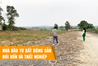 Nhà đầu tư bất động sản đói vốn và thất nghiệp